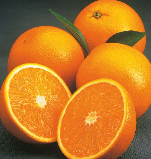 Апельсины "Валенсия"